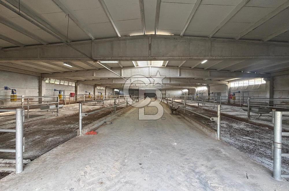 CB KİNG'DEN YENİKÖY MAHALLESİ TAM EKİPMANLI SATILIK ÇİFTLİK