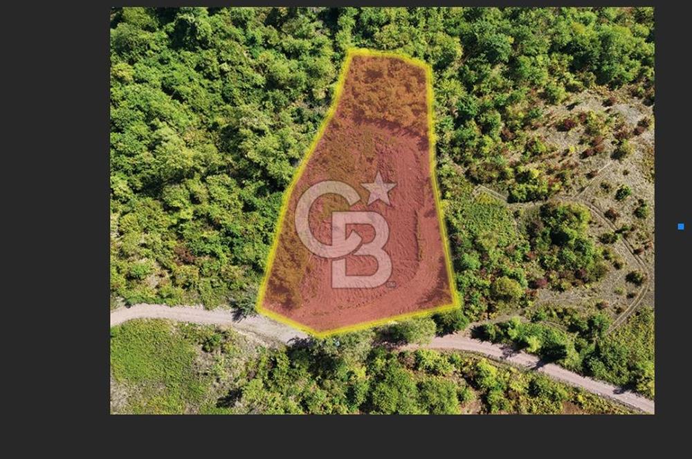 KOCAELİ GÖLCÜK HAMİDİYE 4732 m² YOLA CEPHE FIRSAT TARLA