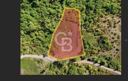 KOCAELİ GÖLCÜK HAMİDİYE 4732 m² YOLA CEPHE FIRSAT TARLA