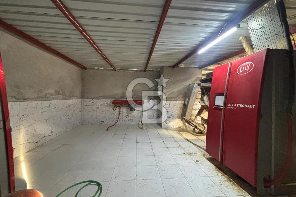 CB KİNG'DEN YENİKÖY MAHALLESİ TAM EKİPMANLI SATILIK ÇİFTLİK