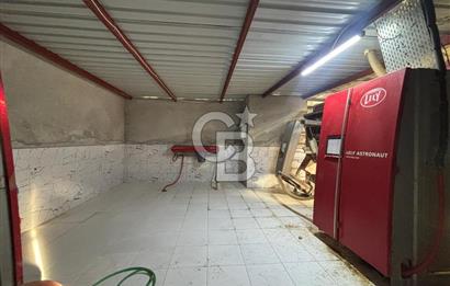 CB KİNG'DEN YENİKÖY MAHALLESİ TAM EKİPMANLI SATILIK ÇİFTLİK