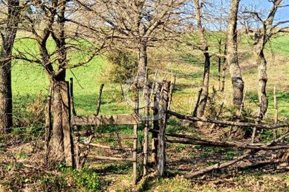 ÇANAKKALE LAPSEKİ BEYÇAYIR KÖYÜ 5246 m2 SATILIK ARAZİ