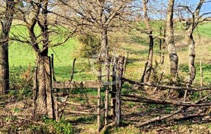 ÇANAKKALE LAPSEKİ BEYÇAYIR KÖYÜ 5246 m2 SATILIK ARAZİ