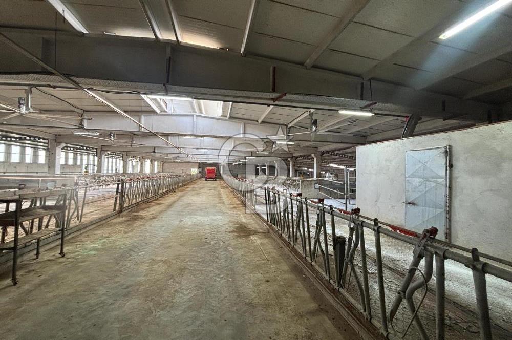 CB KİNG'DEN YENİKÖY MAHALLESİ TAM EKİPMANLI SATILIK ÇİFTLİK