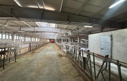 CB KİNG'DEN YENİKÖY MAHALLESİ TAM EKİPMANLI SATILIK ÇİFTLİK