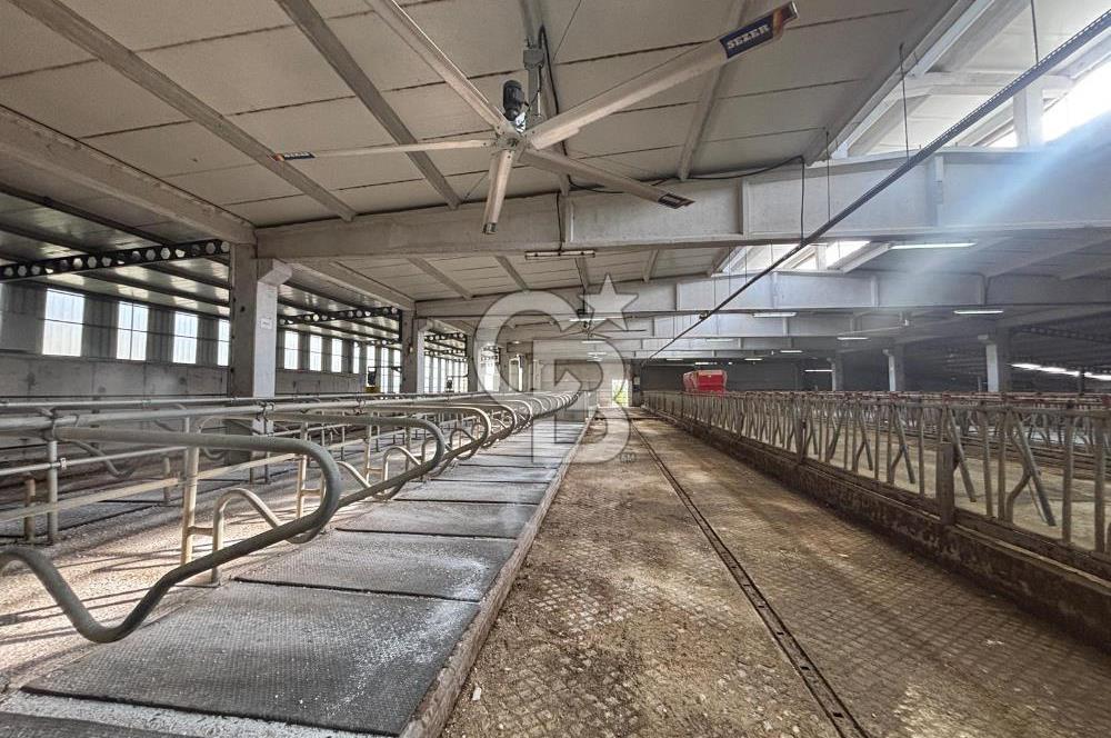 CB KİNG'DEN YENİKÖY MAHALLESİ TAM EKİPMANLI SATILIK ÇİFTLİK