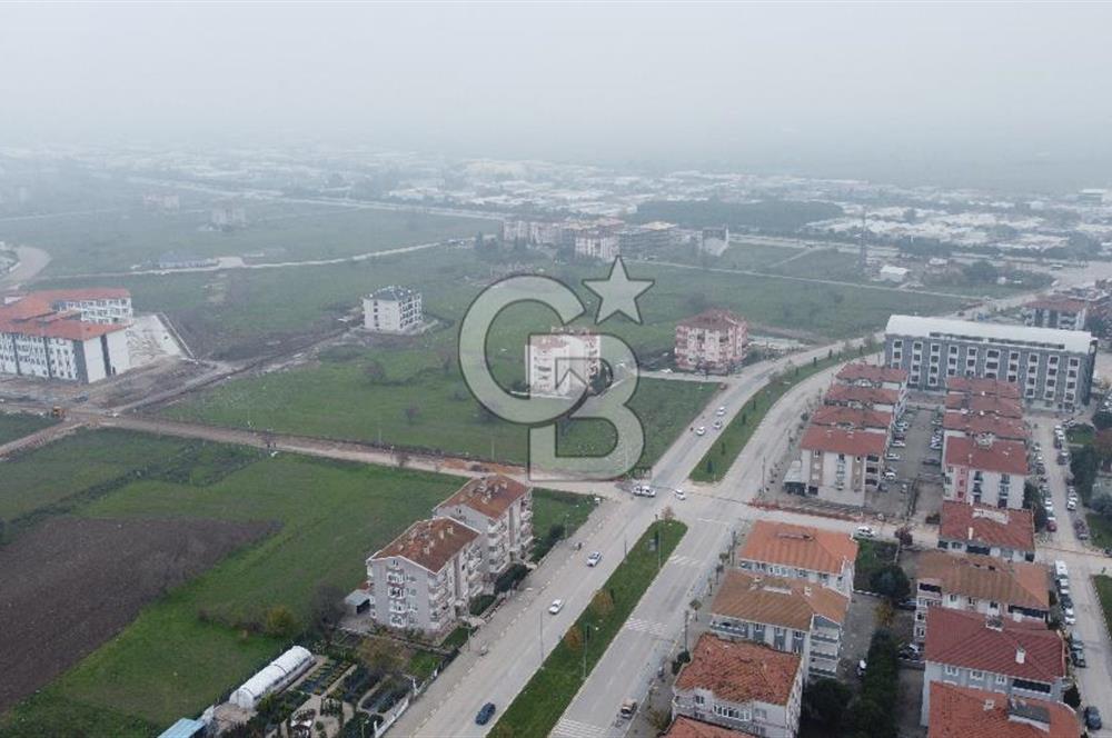 CB KİNG'DEN PAŞAALANI MAHALLESİ KONUT İMARLI SATILIK ARSA