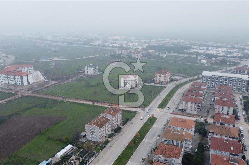 CB KİNG'DEN PAŞAALANI MAHALLESİ KONUT İMARLI SATILIK ARSA