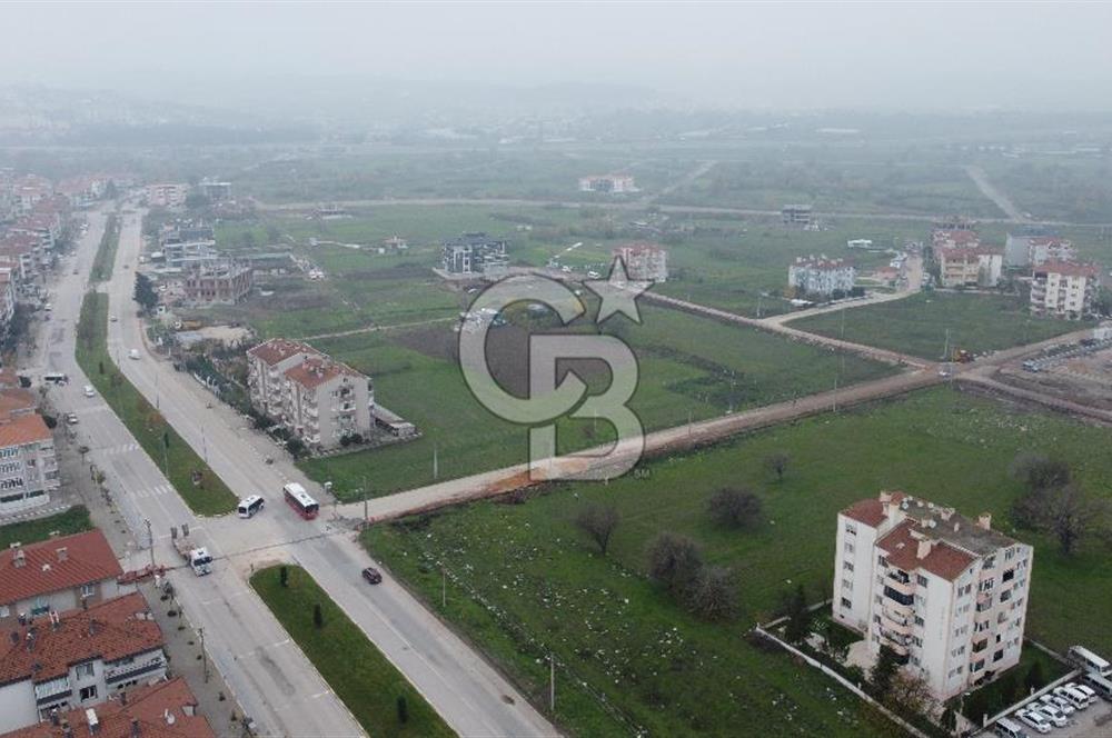 CB KİNG'DEN PAŞAALANI MAHALLESİ KONUT İMARLI SATILIK ARSA