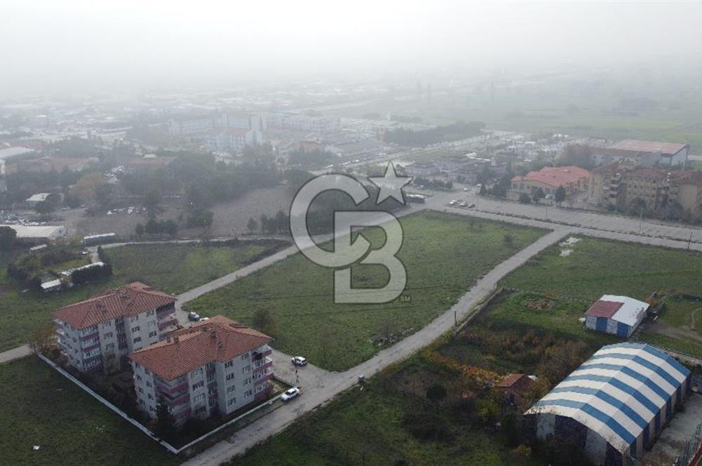 CB KİNG'DEN PAŞAALANI MAHALLESİ KONUT İMARLI SATILIK ARSA