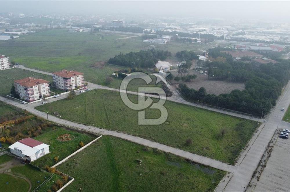 CB KİNG'DEN PAŞAALANI MAHALLESİ KONUT İMARLI SATILIK ARSA