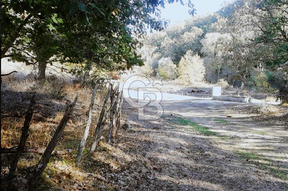 ÇANAKKALE LAPSEKİ BEYÇAYIR KÖYÜ 5246 m2 SATILIK ARAZİ