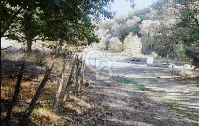 ÇANAKKALE LAPSEKİ BEYÇAYIR KÖYÜ 5246 m2 SATILIK ARAZİ