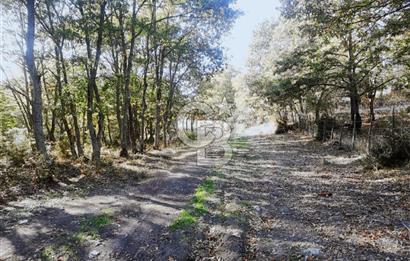 ÇANAKKALE LAPSEKİ BEYÇAYIR KÖYÜ 5246 m2 SATILIK ARAZİ