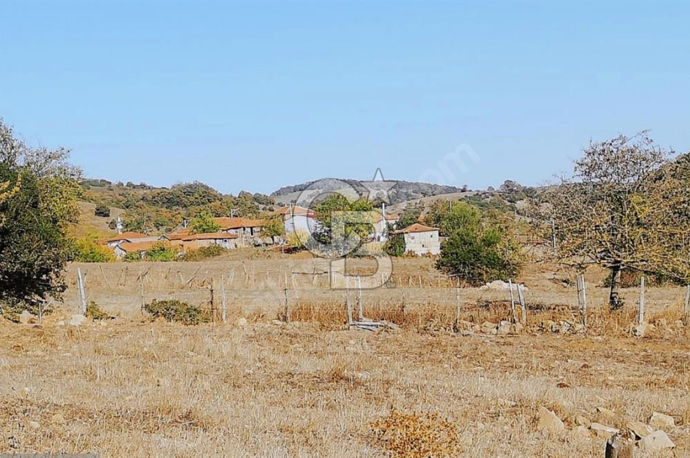 ÇANAKKALE LAPSEKİ BEYÇAYIR KÖYÜ 5246 m2 SATILIK ARAZİ