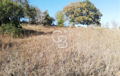 ÇANAKKALE LAPSEKİ BEYÇAYIR KÖYÜ 5246 m2 SATILIK ARAZİ