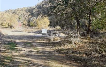 ÇANAKKALE LAPSEKİ BEYÇAYIR KÖYÜ 5246 m2 SATILIK ARAZİ