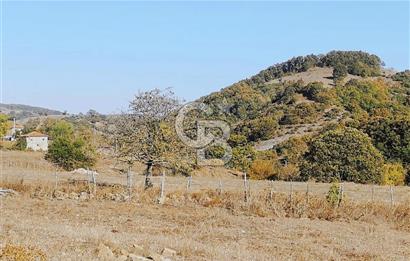 ÇANAKKALE LAPSEKİ BEYÇAYIR KÖYÜ 5246 m2 SATILIK ARAZİ