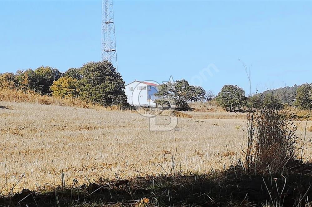 ÇANAKKALE LAPSEKİ BEYÇAYIR KÖYÜ 5246 m2 SATILIK ARAZİ