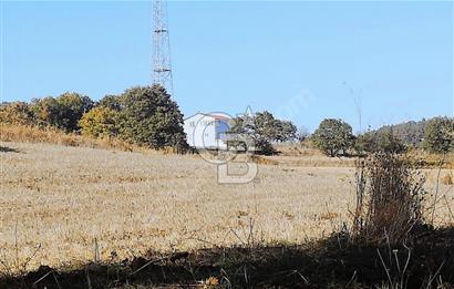 ÇANAKKALE LAPSEKİ BEYÇAYIR KÖYÜ 5246 m2 SATILIK ARAZİ