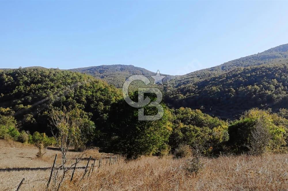 ÇANAKKALE LAPSEKİ BEYÇAYIR KÖYÜ 5246 m2 SATILIK ARAZİ