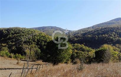 ÇANAKKALE LAPSEKİ BEYÇAYIR KÖYÜ 5246 m2 SATILIK ARAZİ