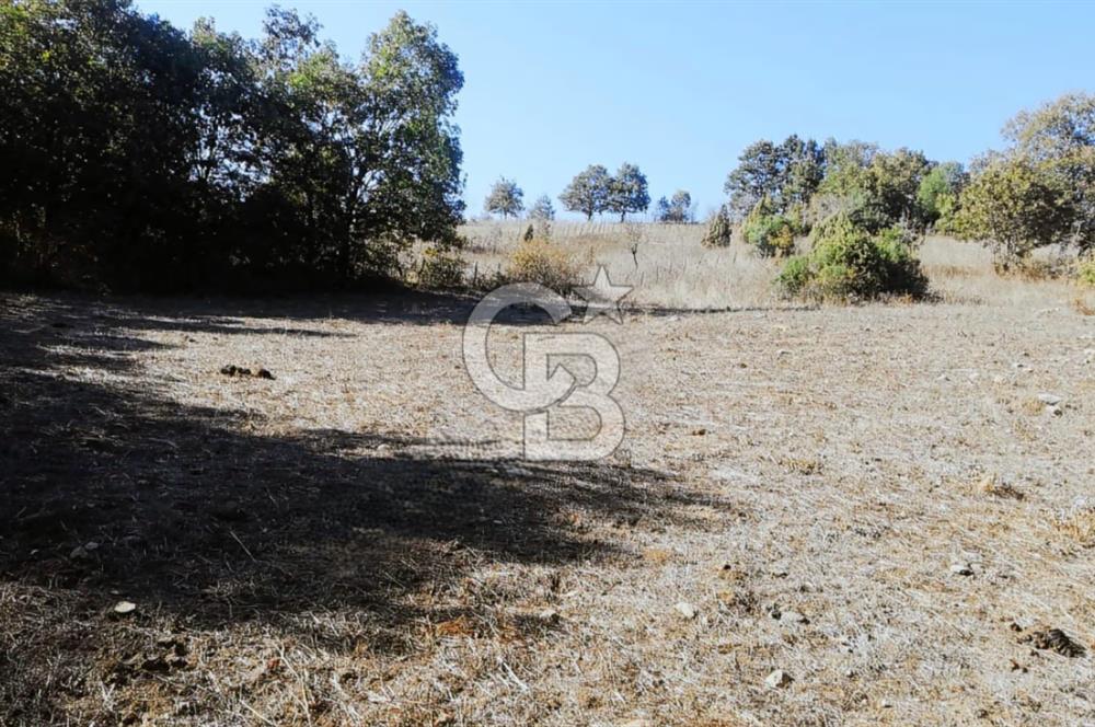 ÇANAKKALE LAPSEKİ BEYÇAYIR KÖYÜ 5246 m2 SATILIK ARAZİ