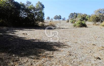 ÇANAKKALE LAPSEKİ BEYÇAYIR KÖYÜ 5246 m2 SATILIK ARAZİ