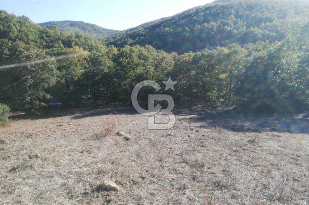 ÇANAKKALE LAPSEKİ BEYÇAYIR KÖYÜ 5246 m2 SATILIK ARAZİ