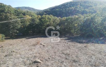 ÇANAKKALE LAPSEKİ BEYÇAYIR KÖYÜ 5246 m2 SATILIK ARAZİ
