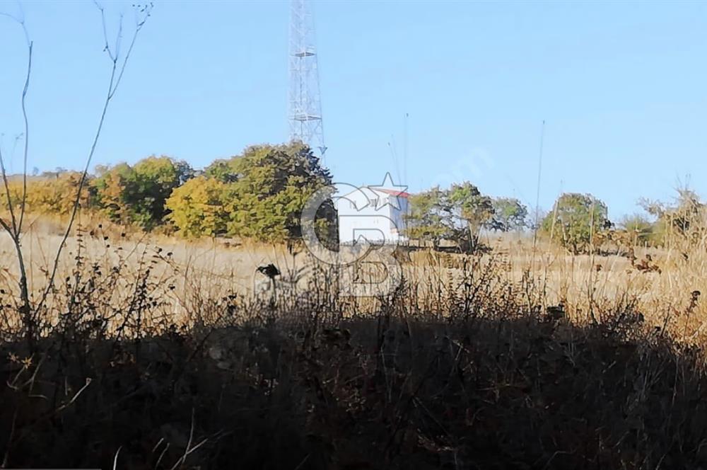 ÇANAKKALE LAPSEKİ BEYÇAYIR KÖYÜ 5246 m2 SATILIK ARAZİ