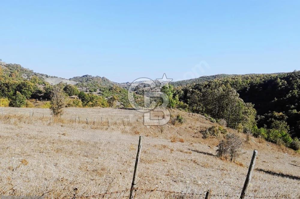 ÇANAKKALE LAPSEKİ BEYÇAYIR KÖYÜ 5246 m2 SATILIK ARAZİ