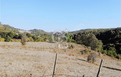 ÇANAKKALE LAPSEKİ BEYÇAYIR KÖYÜ 5246 m2 SATILIK ARAZİ