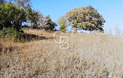 ÇANAKKALE LAPSEKİ BEYÇAYIR KÖYÜ 5246 m2 SATILIK ARAZİ