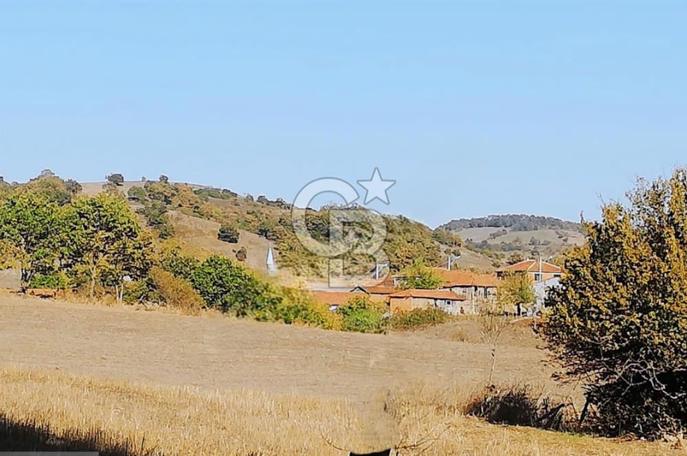 ÇANAKKALE LAPSEKİ BEYÇAYIR KÖYÜ 5246 m2 SATILIK ARAZİ