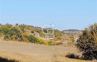 ÇANAKKALE LAPSEKİ BEYÇAYIR KÖYÜ 5246 m2 SATILIK ARAZİ