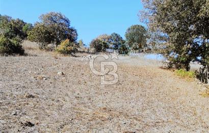 ÇANAKKALE LAPSEKİ BEYÇAYIR KÖYÜ 5246 m2 SATILIK ARAZİ