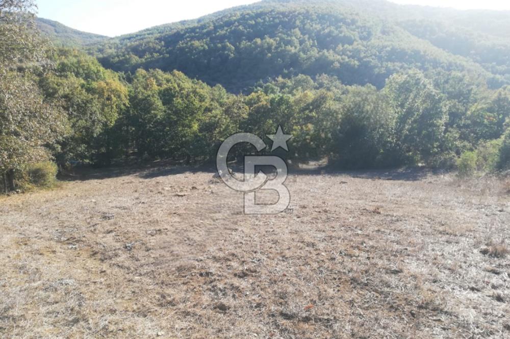 ÇANAKKALE LAPSEKİ BEYÇAYIR KÖYÜ 5246 m2 SATILIK ARAZİ