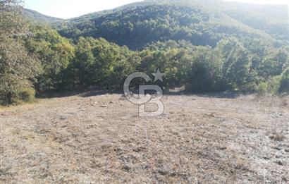 ÇANAKKALE LAPSEKİ BEYÇAYIR KÖYÜ 5246 m2 SATILIK ARAZİ