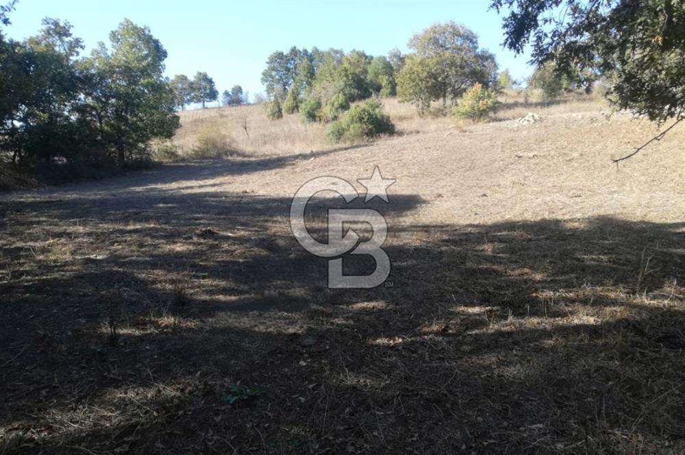 ÇANAKKALE LAPSEKİ BEYÇAYIR KÖYÜ 5246 m2 SATILIK ARAZİ