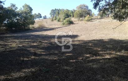 ÇANAKKALE LAPSEKİ BEYÇAYIR KÖYÜ 5246 m2 SATILIK ARAZİ