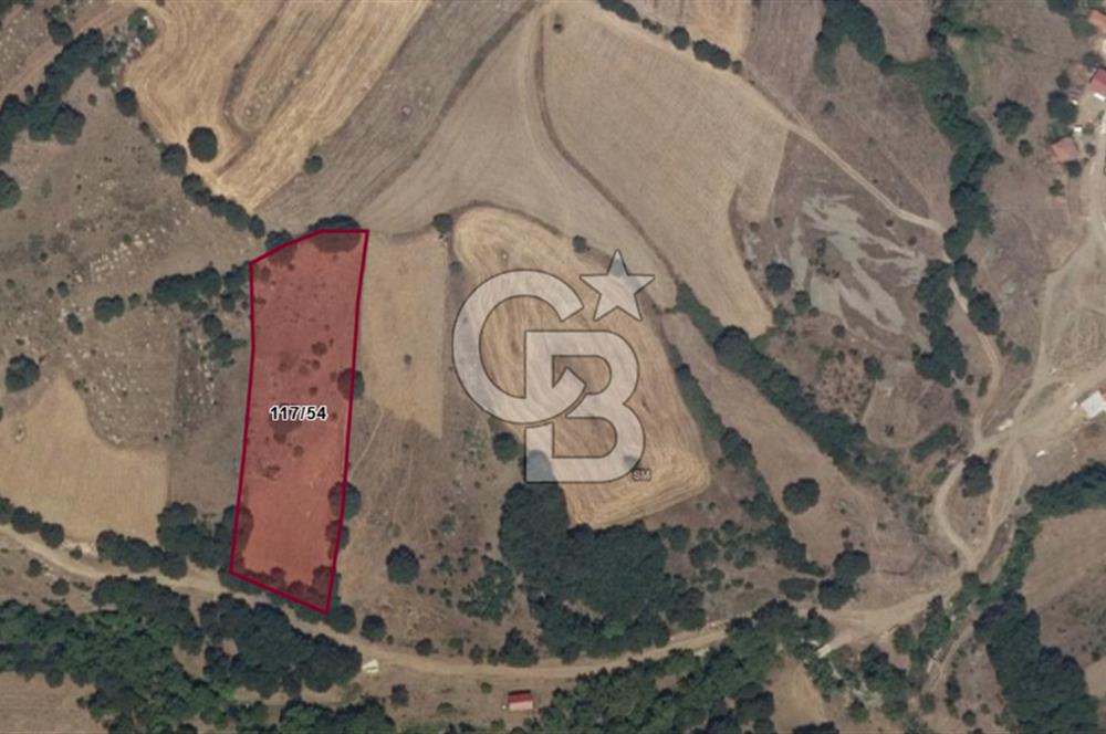 ÇANAKKALE LAPSEKİ BEYÇAYIR KÖYÜ 5246 m2 SATILIK ARAZİ