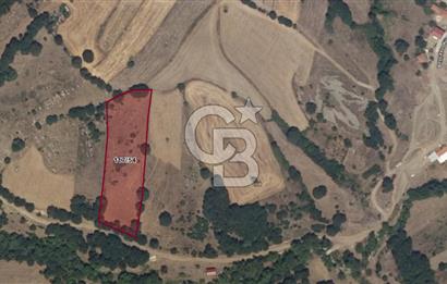 ÇANAKKALE LAPSEKİ BEYÇAYIR KÖYÜ 5246 m2 SATILIK ARAZİ
