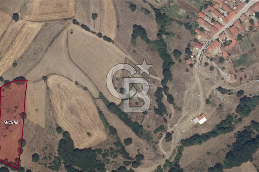 ÇANAKKALE LAPSEKİ BEYÇAYIR KÖYÜ 5246 m2 SATILIK ARAZİ