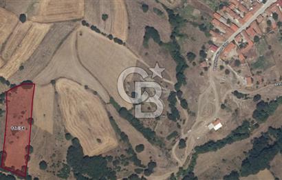 ÇANAKKALE LAPSEKİ BEYÇAYIR KÖYÜ 5246 m2 SATILIK ARAZİ