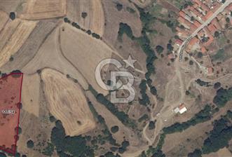 ÇANAKKALE LAPSEKİ BEYÇAYIR KÖYÜ 5246 m2 SATILIK ARAZİ - 3 - 319878