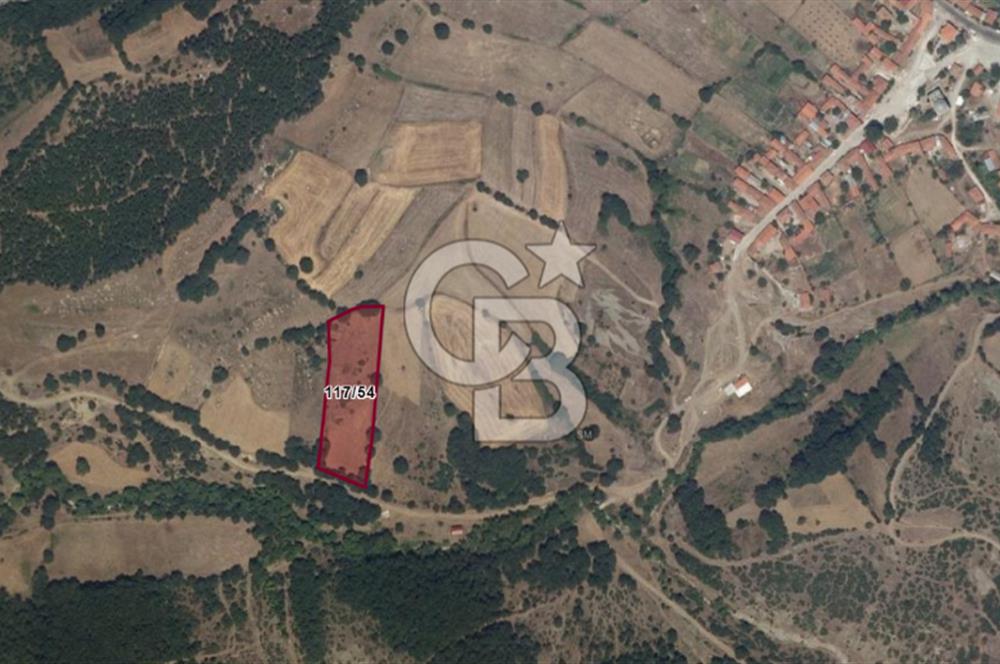 ÇANAKKALE LAPSEKİ BEYÇAYIR KÖYÜ 5246 m2 SATILIK ARAZİ