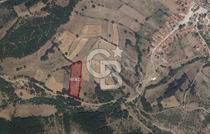 ÇANAKKALE LAPSEKİ BEYÇAYIR KÖYÜ 5246 m2 SATILIK ARAZİ