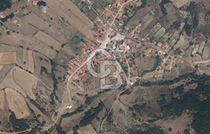 ÇANAKKALE LAPSEKİ BEYÇAYIR KÖYÜ 5246 m2 SATILIK ARAZİ