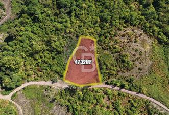 KOCAELİ GÖLCÜK HAMİDİYE 4732 m² YOLA CEPHE FIRSAT TARLA - 1 - 319909